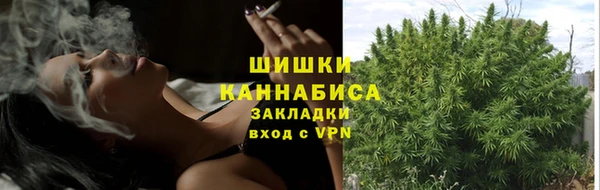 хмурый Протвино