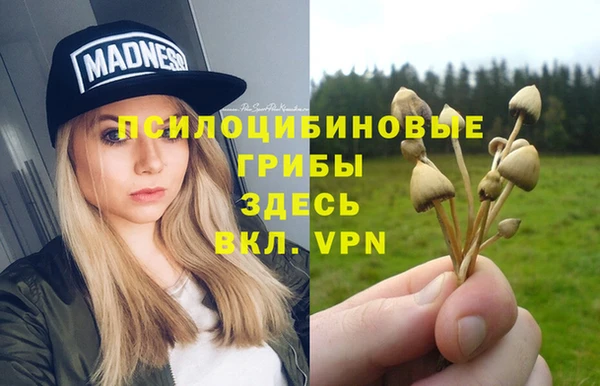 шишки Абдулино