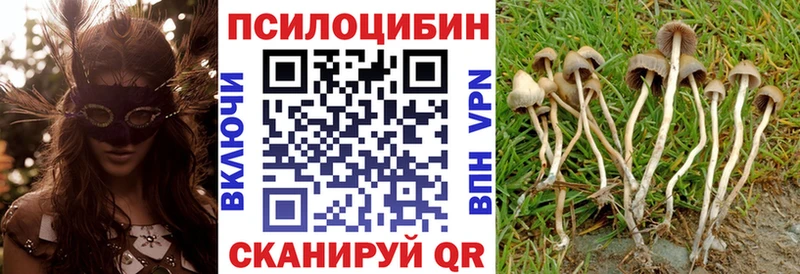 Галлюциногенные грибы Cubensis  купить наркотик  Моршанск 