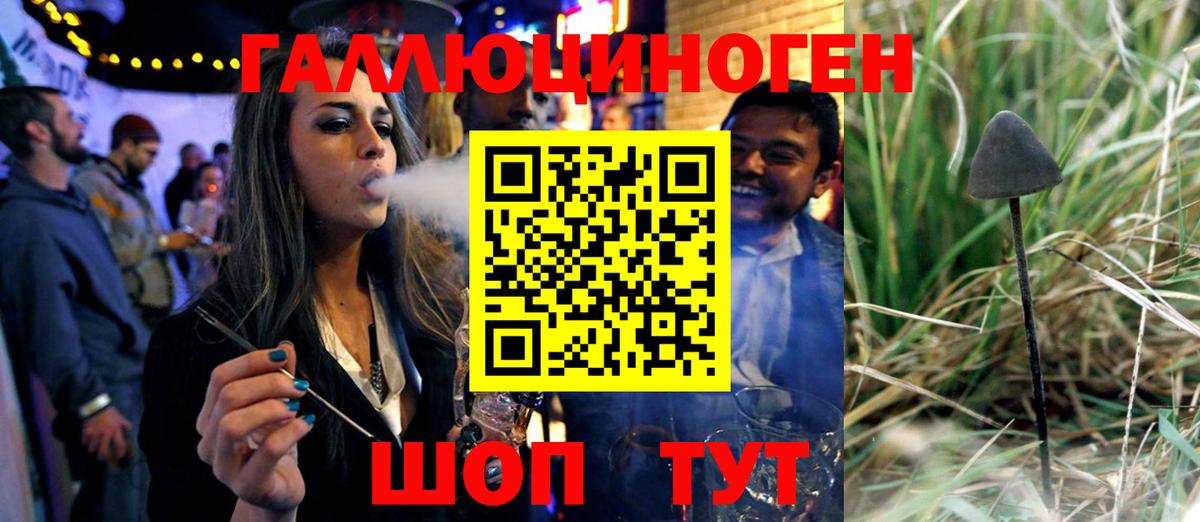 Псилоцибиновые грибы мухоморы  Вход с VPN  Псилоцибиновые грибы GOLDEN TEACHER  Моршанск 